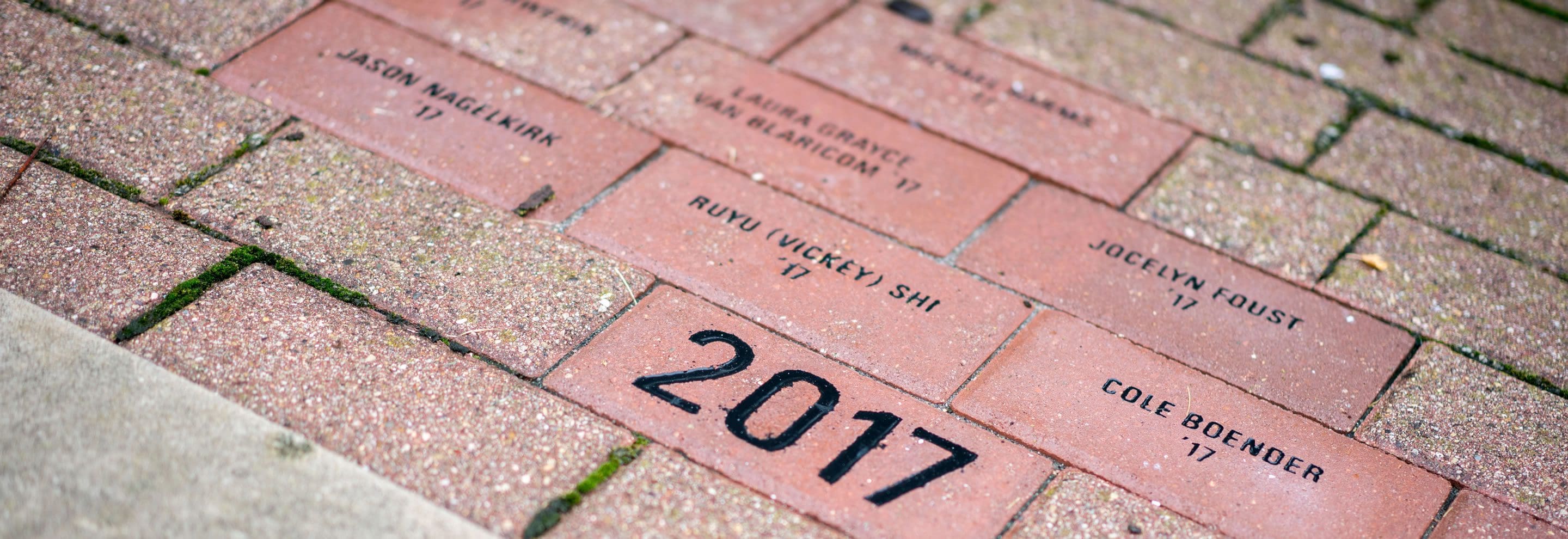 alumni bricks