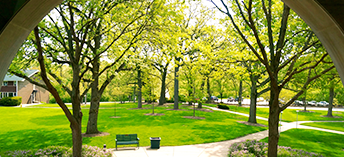 Spring campus shot outside library