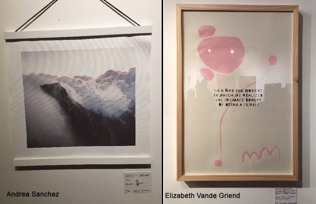 Andrea Sanchez and Elizabeth Vande Griend's art work on display