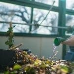 Greenhouse at top of Science building