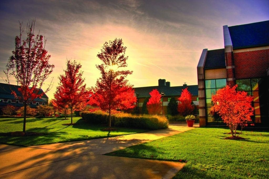 Fall foilage on the quad