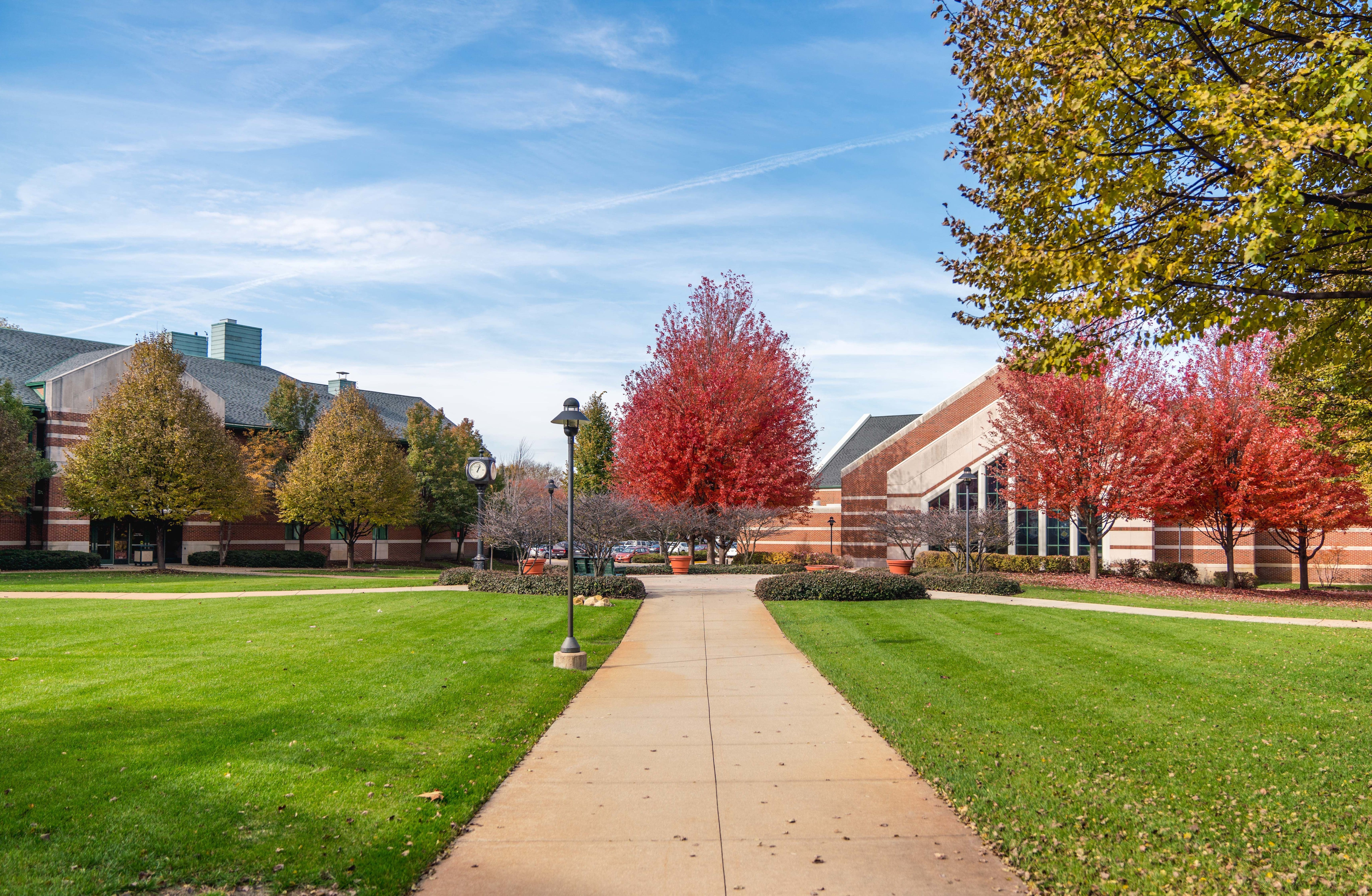 Shot of the quad in the fall