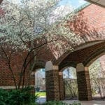 Campus in spring outside of library