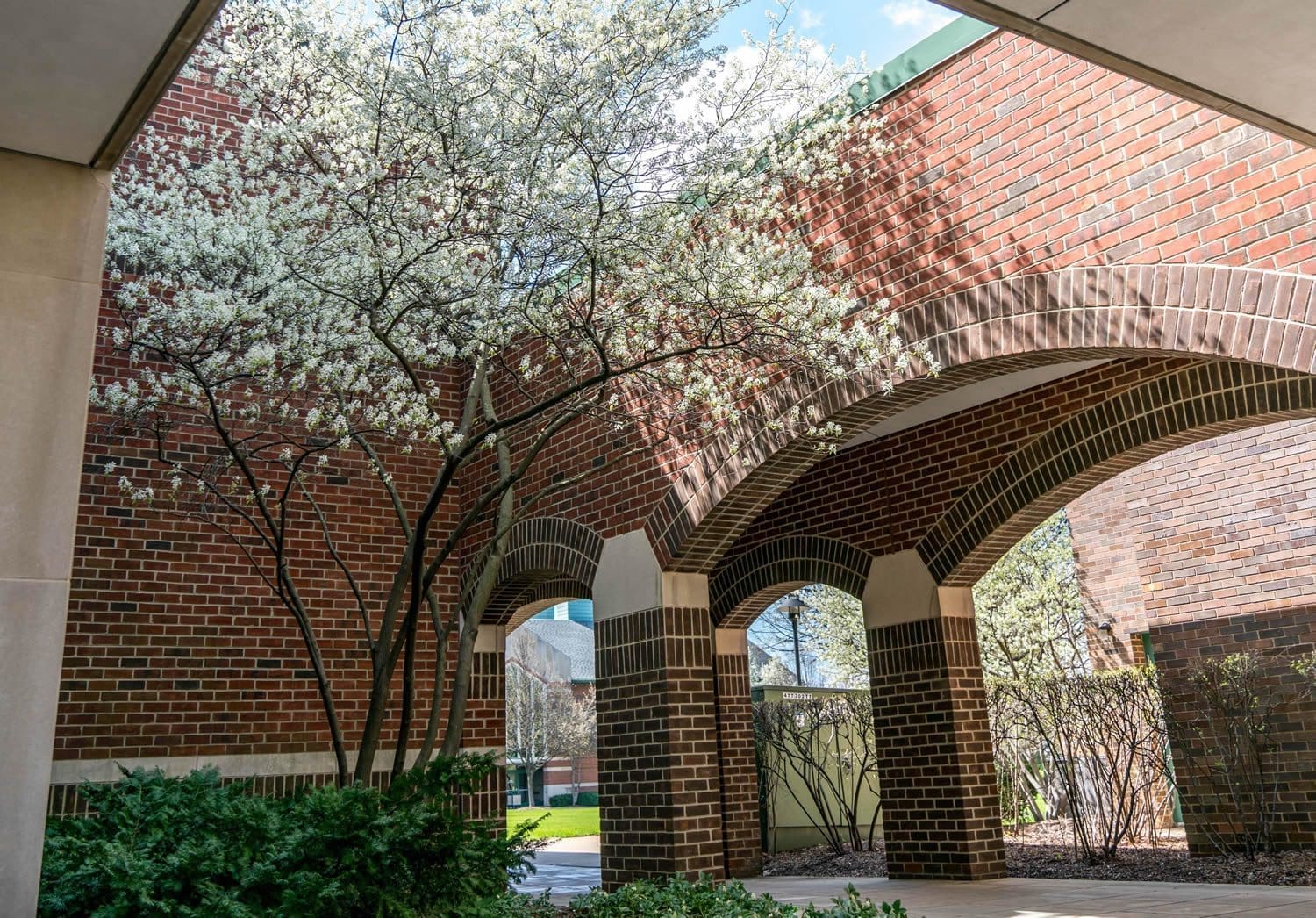 Campus in spring outside of library