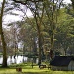 cabin at a lake