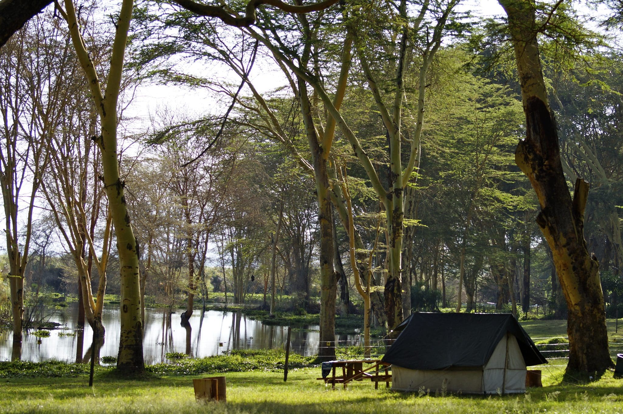 cabin at a lake