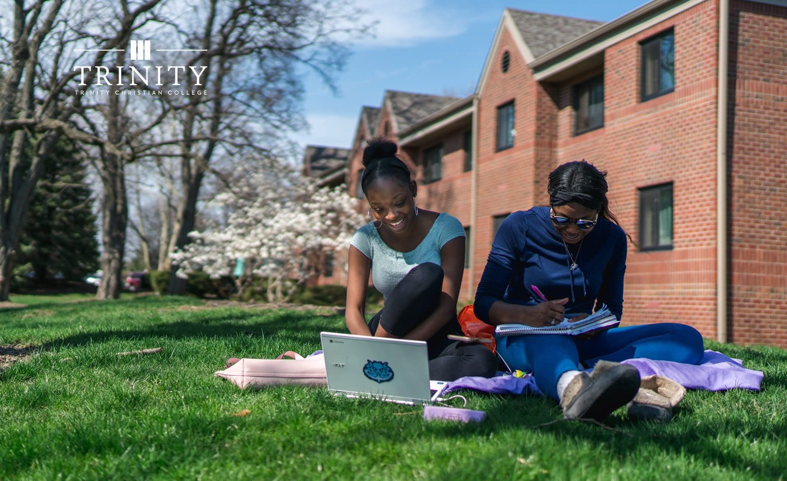 Students studying on campus