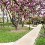 Admin Building in the Spring