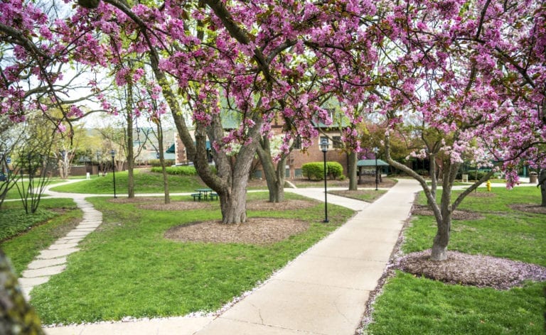 Admin Building in Spring