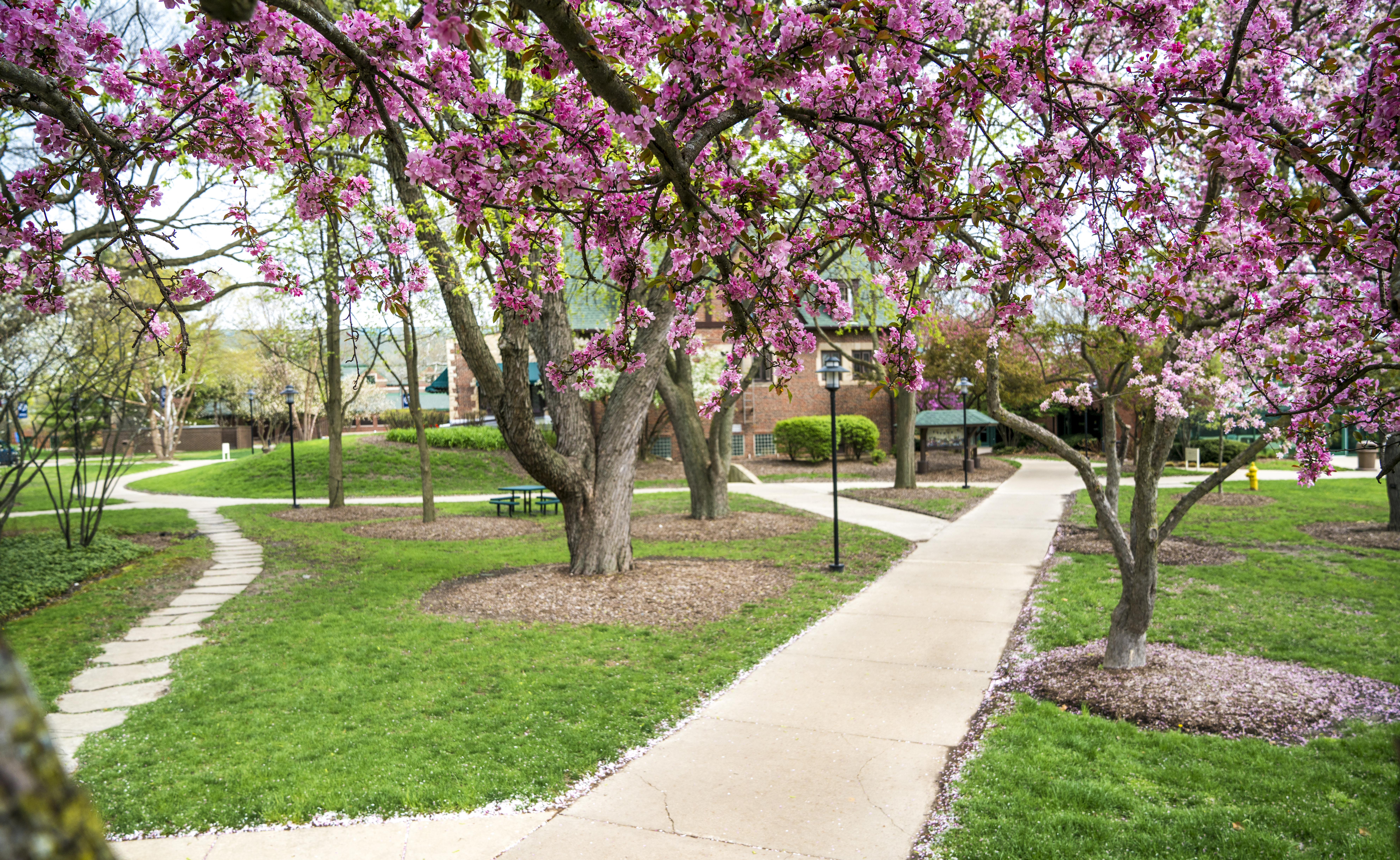 Admin Building in the Spring