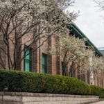 spring on campus: trees blossoming outside of the classroom building