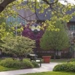 Shot of clock in the quad and science building through the trees