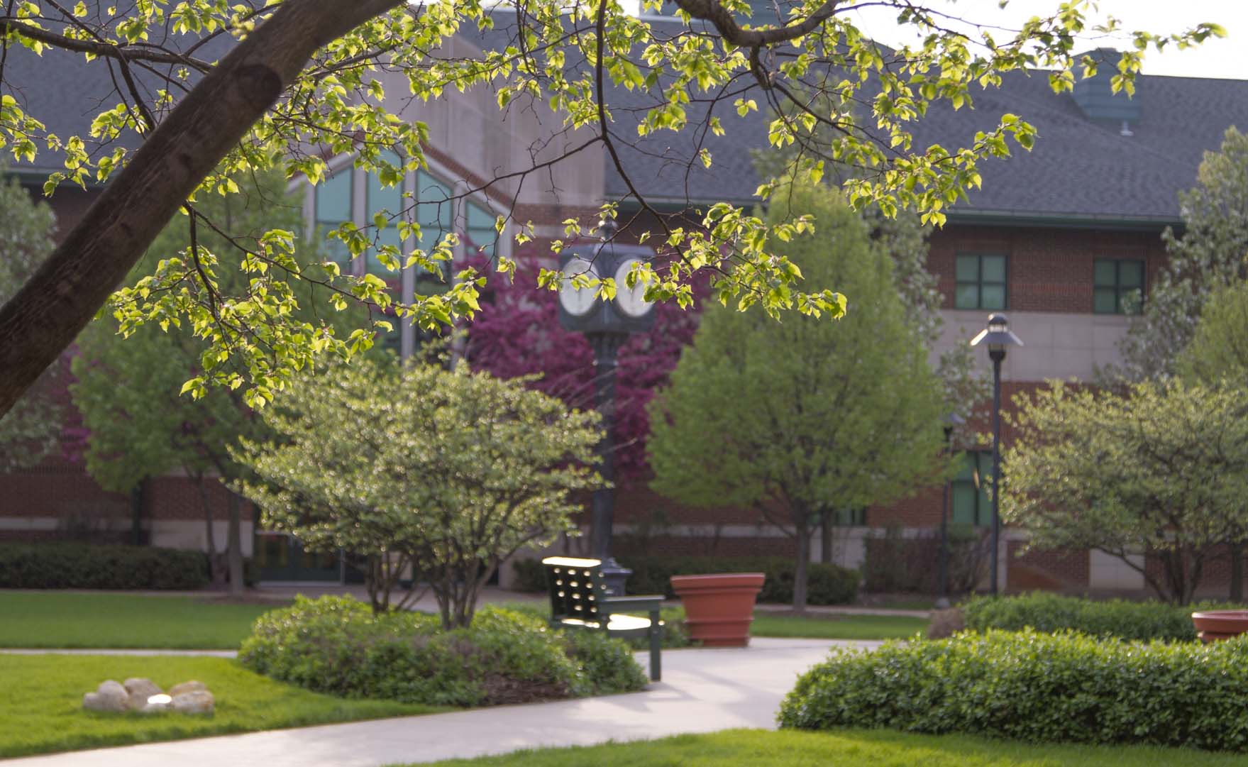 Shot of clock in the quad and science building through the trees