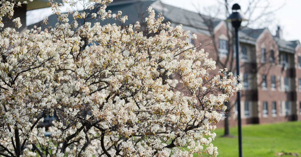 Campus in the Spring- behind south hall