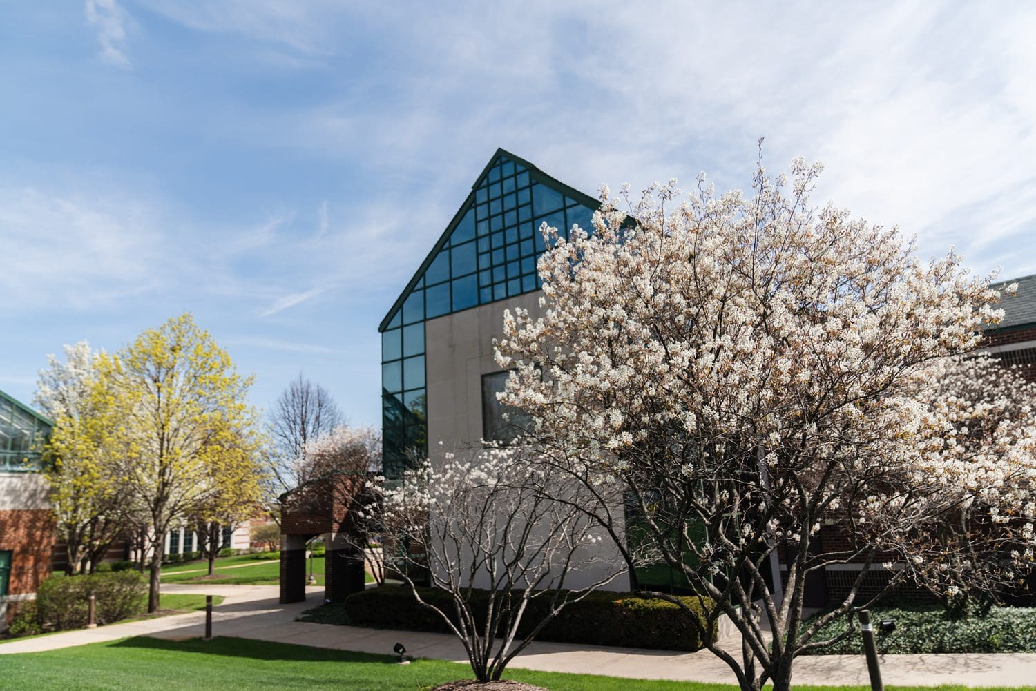 Quad and science building