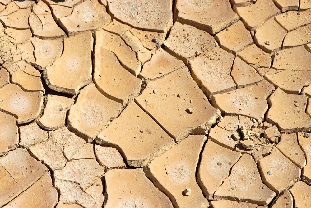 Dust Bowl - SALT