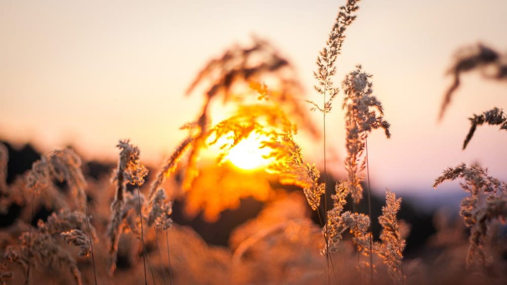 Slowing Down - End of Life - SALT