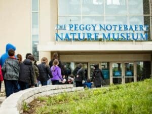 Peggy Notebaert Museum
